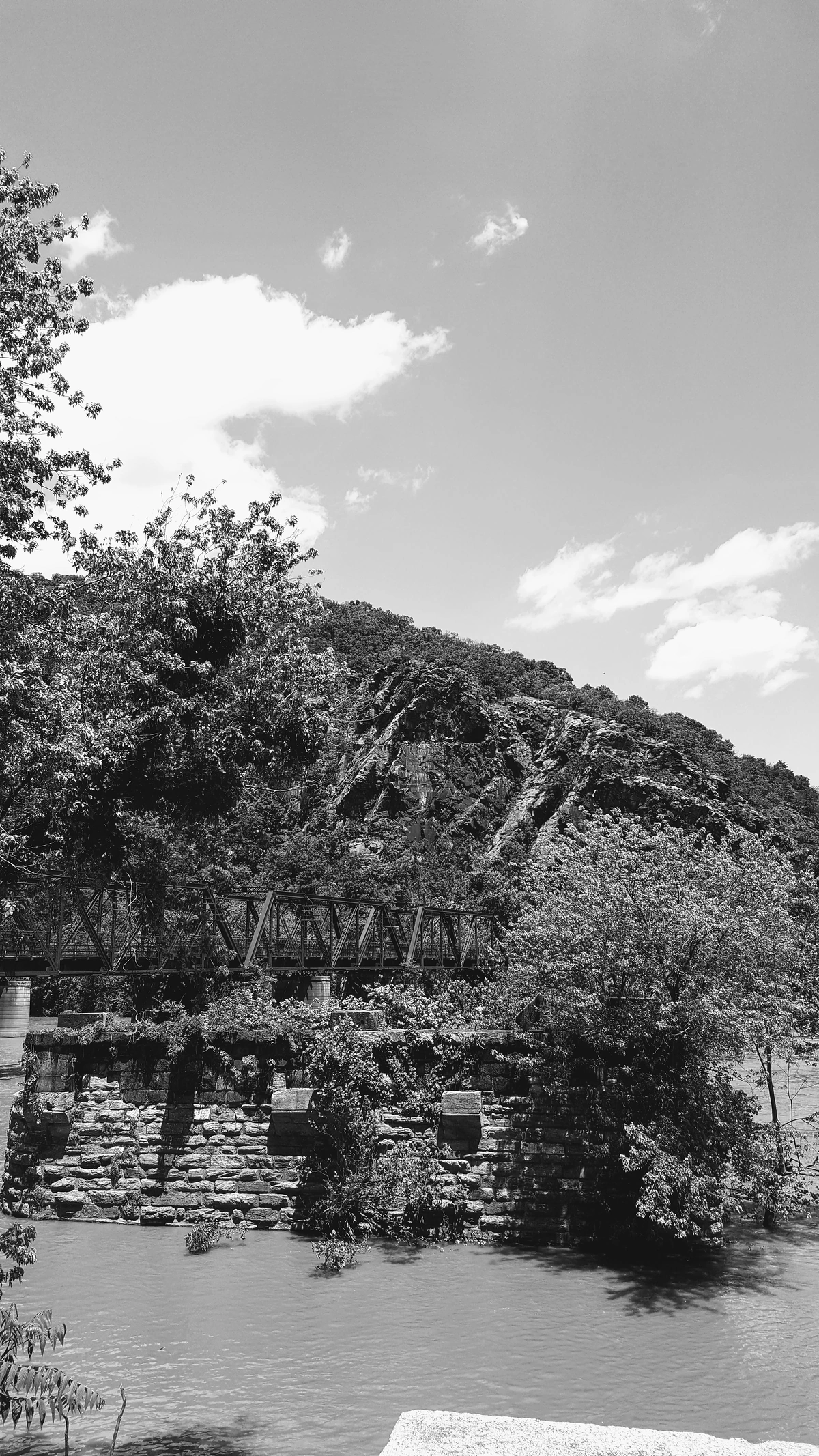 Hillside